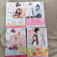 野いちご文庫　4冊セット