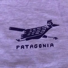 パタゴニア キャプリーン クールデイリー 長袖 レディース S