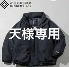 phenix WINDSTOPPER Level 7ダウンジャケットのサムネイル