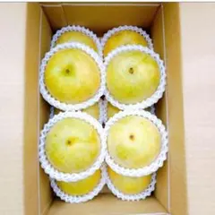 鳥取県産 二十世紀梨【奉仕品】 鳥取県産 二十世紀梨【奉仕品】 - メルカリ