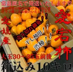 売り切れ御免‼️❤️現場より♡生出品❤️干し柿用♡愛宕柿（渋柿）♡1級品♡大♡10キロ