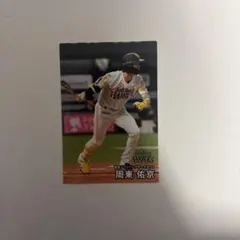 プロ野球チップスカード2026第2弾　周東 佑京