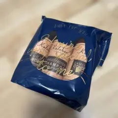 Item thumbnail for item 402a482f-3ace-42a4-96fb-0d73f002465e