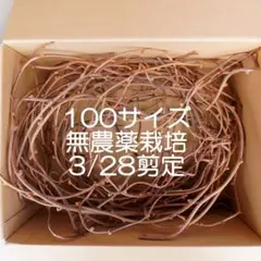 Item thumbnail for item 1c855c1c-cb7a-48a3-aa80-ab37ff29992c