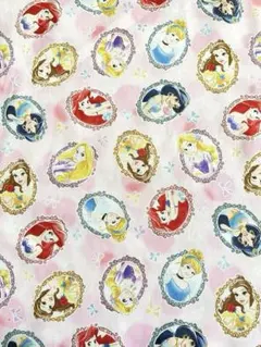 生地　ハギレ　プリンセス柄　２