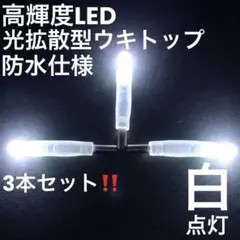 Item thumbnail for item 24b62af9-8a7a-46b4-b9ea-dc930dc82c27