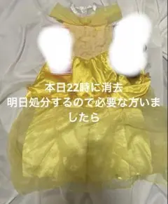 ビビディバビディブティック ベル 美女と野獣 Disney コスチューム