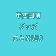 甲斐田晴 グッズセット