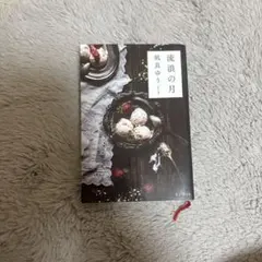流浪の月 風見ゆう
