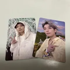 セブチ SEVENTEEN ウォヌ トレカ
