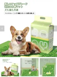 Item thumbnail for item eac57d5a-dd63-4c42-b438-542c26c01cf5