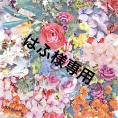 はふ様専用