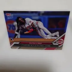 リッキー様 リクエスト 2点 まとめ商品