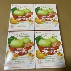 프루쉐 홋카이도 후라노 멜론 4종 세트