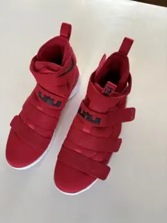 Item thumbnail for item c50f0455-8aa5-4402-938b-4a9fea4af456