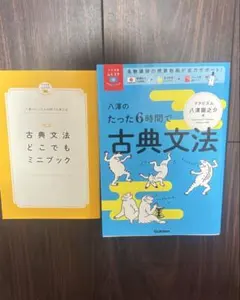 八澤のたった6時間で古典文法 どこでもミニブック付き
