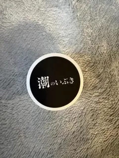 Item thumbnail for item 9d45865d-c980-4c97-9770-850f6c7409ed