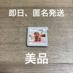 ★9 ニンテンドックス トイ・プードル＆Newフレンズ