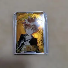 家庭教師ヒットマンREBORN 沢田綱吉 ステータスカード