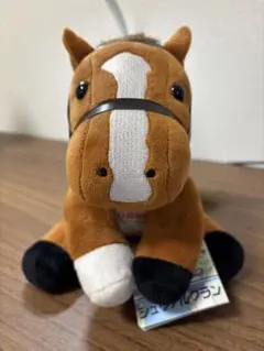 アイドルホースselection 第37回 ジャパンカップ シュヴァルグラン