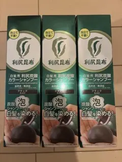 2026年最新】利尻炭酸カラーシャンプーブラックの人気アイテム - メルカリ