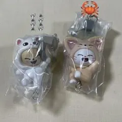 【即購入可】SKZOO つまんでつなげてますこっと セット ソコンイェズ ②