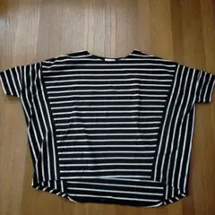 earth music &ecology 半袖Tシャツ ボーダー· ストライプ