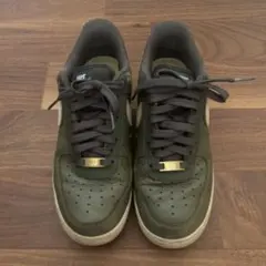 Item thumbnail for item 781f96df-77da-4576-b581-f284a75803b7