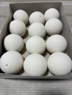 2026年最新】ソフトテニスボール中古の人気アイテム - メルカリ