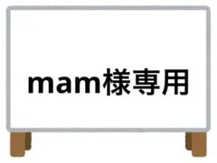 mam様 リクエスト 4点 まとめ商品