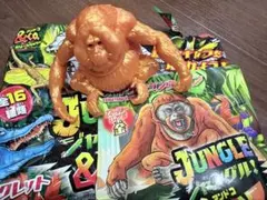 アンドコ ジャングル スマトラオランウータン