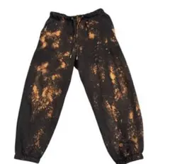 Item thumbnail for item 4f22f156-fb91-4fcc-acfa-8f605381e0e1