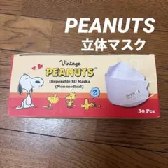 PEANUTS 　スヌーピー　使い捨てマスク 　個別包装　30枚のサムネイル