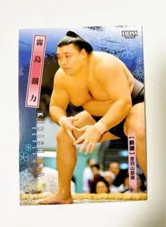 Item thumbnail for item d0bf6a8b-2354-4099-8128-fbfcb426da19