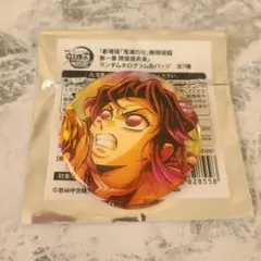 アカギ展 ブラインドホログラムキャラクター 缶バッジ 南郷 - メルカリ