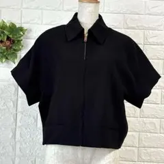 a1113 ザラ半袖 ジップアップ ジャケット ブルゾン ショート丈 金ジップM