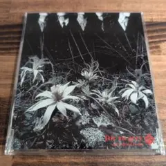 Dir en grey/ain't afraid to die