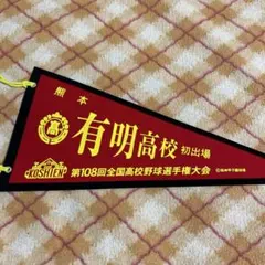 校名ペナント　有明高校