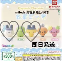 たまごっち カプセルフロッキーズ まめっち みみっち　美容液付き