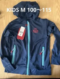 Item thumbnail for item 6c3dd484-fcc3-4776-ad86-b2f5ed4532a6