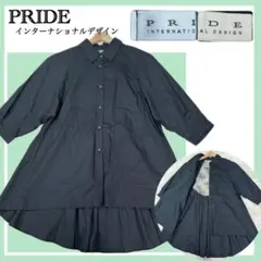 ✨美品✨PRIDE バックレース切替フレアシャツブラウス Aライン 黒 38