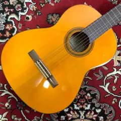 Yamaha CG101A
