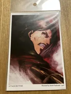 進撃の巨人　特典ポストカード　門脇聡 イラスト集　特典　激レア　ハンジ 進撃の巨人 特典ポストカード 門脇聡 イラスト集 特典 激レア ハンジ