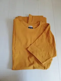 Item thumbnail for item 89831ec3-2935-4b62-aaa7-e43dc81ae6d9