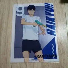ハイキュー!! 影山飛雄 クリアファイル
