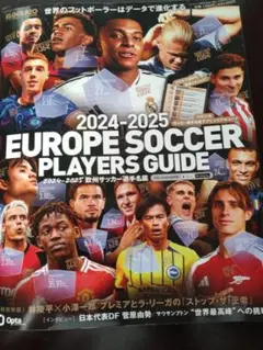 2024-2025 Europe Soccer Players Guide
