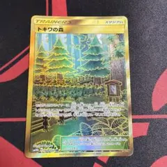 せせらぎの丘 UR SM9 タッグボルト 118/095 コイキング - メルカリ