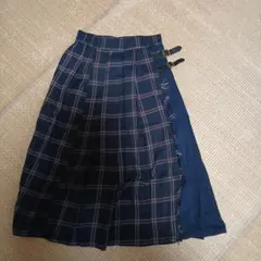 Item thumbnail for item 70c4733e-4c81-406d-a0c6-f9b552a0cff7