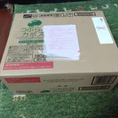 Item thumbnail for item 8fa3229b-7004-477a-9b97-e115c158ce22