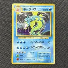 ポケモンカード 実家